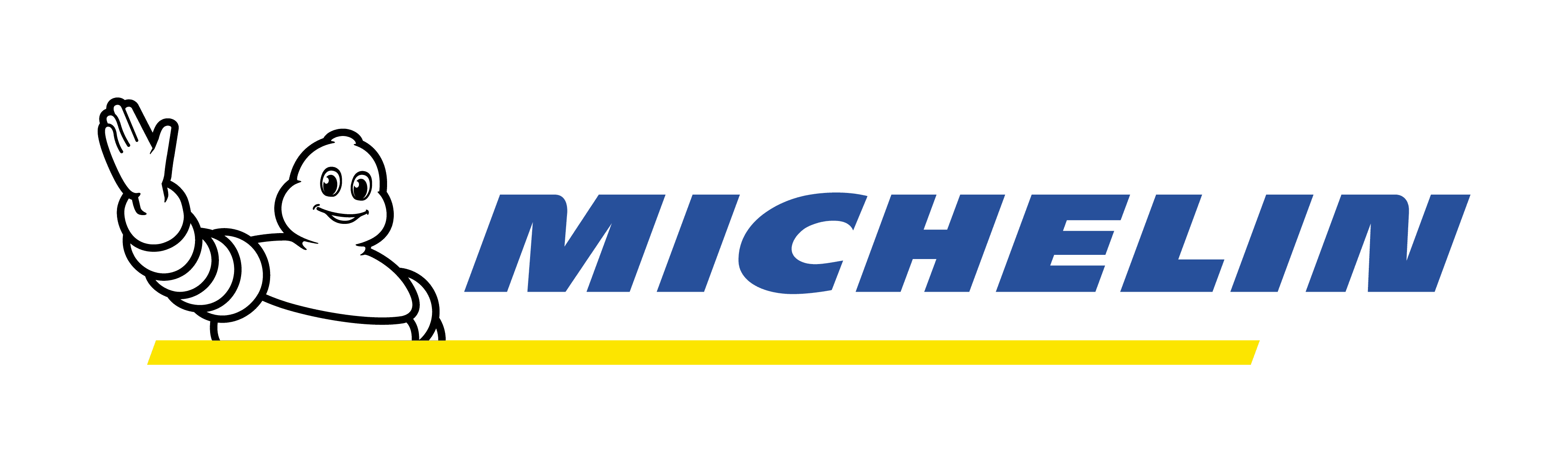 Michelin Website